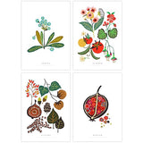 Four Seasons Postcard Set - Spring, Summer, Autumn and Winter Plant Illustrations
