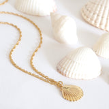 close up of little lucky sea shell charm necklace with shells